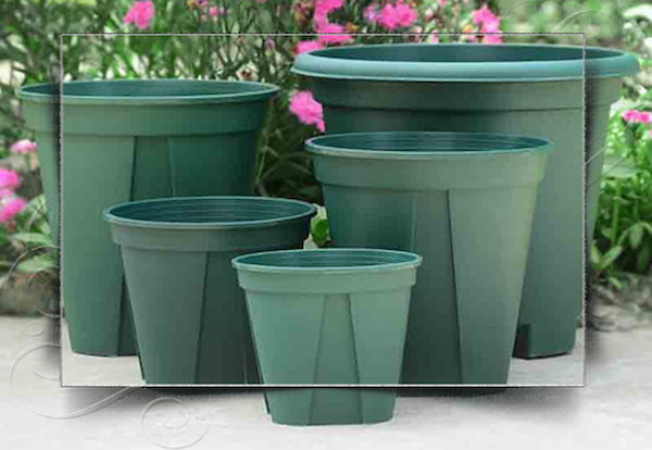 تصویر 5 از خرید گلدان بزرگ گلخانه ای + قیمت فروش استثنایی
